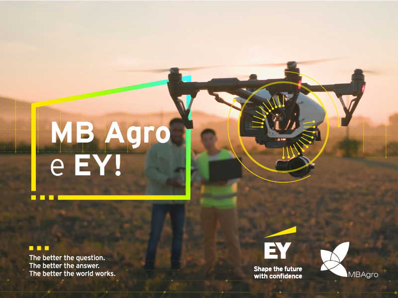 MB Agro e EY - saiba mais
